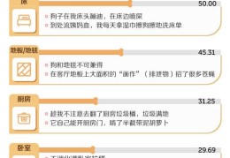 负债80后的逆袭之路，如何快速吸引关注上热门？