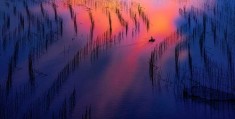 油画棒教程怎么拍摄的照片