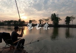 钓鱼技巧直播视频,钓鱼的现场直播