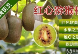 直播文案写作技巧卖货,直播卖货的文案怎么写
