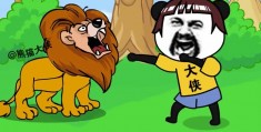 在野外遇到狮子怎么办拍摄教程 VS 佳能700d拍摄视频教程怎么样