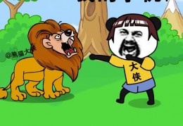在野外遇到狮子怎么办拍摄教程 VS 延时拍摄在pr里怎么做成视频教程