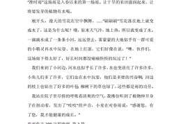 四年级作文技巧直播课教案,四年级作文课怎么讲