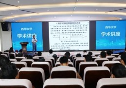 四川最好的网络优化公司,四川网络公司排名