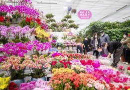 鲜花直播间抽奖技巧,鲜花直播间抽奖技巧视频