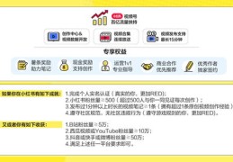 小红书视频热门攻略，发布技巧与作品策略
