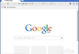 谷歌搜索引擎google_google chrome官网入口