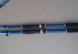 直播卖鱼竿技巧与盈利探讨