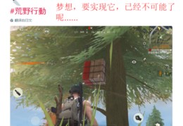 荒野行动手游直播方法技巧,荒野行动手游直播方法技巧是什么