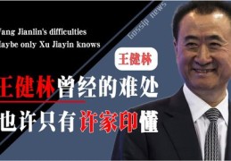 王健林直播与采访技巧揭秘