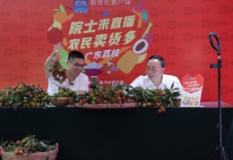 荔枝直播卖货的技巧是什么,荔枝直播能赚多少钱