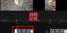 抖音上热门攻略，提升视频热度的秘诀！