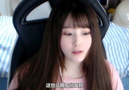 游戏女主播直播技巧,游戏 女主播