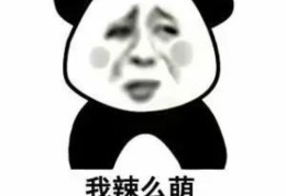表情包走红秘诀，如何打造热门表情包并推荐上榜？