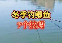 冬季野钓技巧与鲫鱼垂钓直播分享