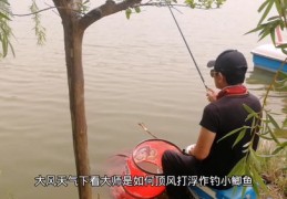 直播钓鱼技巧和方法,直播间钓鱼