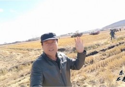 黑龙江水稻直播技巧,黑龙江水稻直播田间管理技术