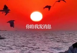 情感语录走红秘诀，如何上热门及表达方式探讨