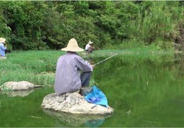 问道直播钓鱼技巧,问道直播钓鱼技巧视频