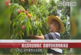 直播卖荔枝技巧,荔枝怎么做主播