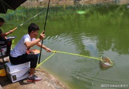 手机钓鱼直播技巧背后的违法犯罪问题探讨