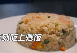 炒饭直播技巧大全，简单介绍与实用指南