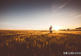 户外风景直播拍摄技巧,户外风景主播如何直播
