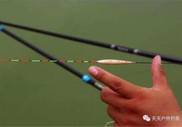 鲢鳙技巧直播,鲢鳙怎么样
