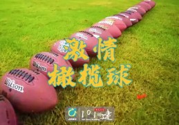 橄榄球直播技巧,橄榄球在线直播平台