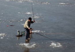 直播钓鲫鱼技巧视频,直播间钓鱼