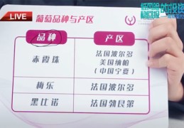 直播课拍照技巧,怎么在看直播课的时候拍照