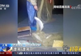 直播人物如何上热门呢视频,主播直播怎么上热门