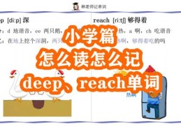 小学英语技巧直播,小学英语直播课哪家好