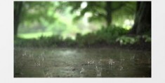 怎么创造人工雨拍摄视频教程 VS 衣架怎么做拍摄三脚架教程
