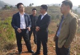 罗甸百度关键词优化公司的简单介绍
