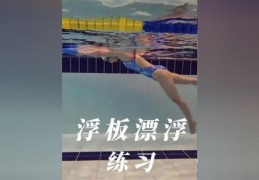 头条直播游泳技巧与盈利之道