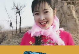 合拍如何上热门