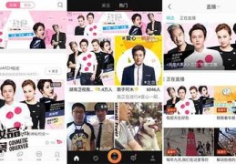 湖南直播技巧定制,湖南直播平台公司有哪些