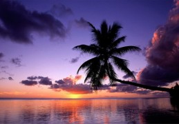 夕阳直播拍摄技巧,夕阳直播拍摄技巧视频