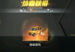 荒野行动直播抽奖技巧大全,荒野行动抽奖概率公式