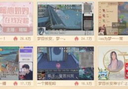 欢乐世界直播技巧,欢乐世界游戏视频
