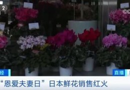 花盆直播配货技巧,花盆直播配货技巧与方法