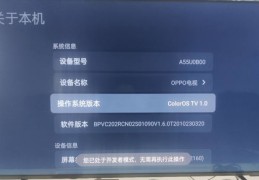 直播顺序与技巧详解，打造完美直播的秘诀和方法