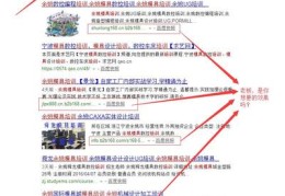 宁波百度seo关键词优化,宁波seo关键字推广