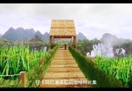 风景如何成为热门话题焦点？