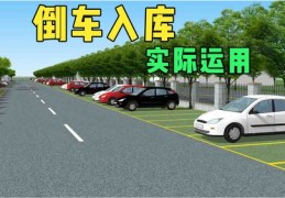 新手倒车入库技巧详解，直播回放与视频讲解专辑