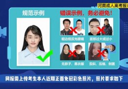 高考招生直播技巧,高考报考直播