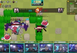 直播小游戏玩法技巧,直播游戏玩法大全