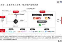 微盟直播技巧详解及收费情况探讨