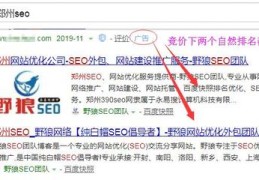 郑州seo技术顾问,郑州seo技术顾问阿亮怎么样
